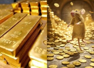 From May 29 to June 7: 3 Years of Extreme Lottery Wins, Money and Gold Rush to your Safe!