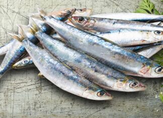 The Superfood Fish: A Nutritional Powerhouse, as Praised by American Experts.
