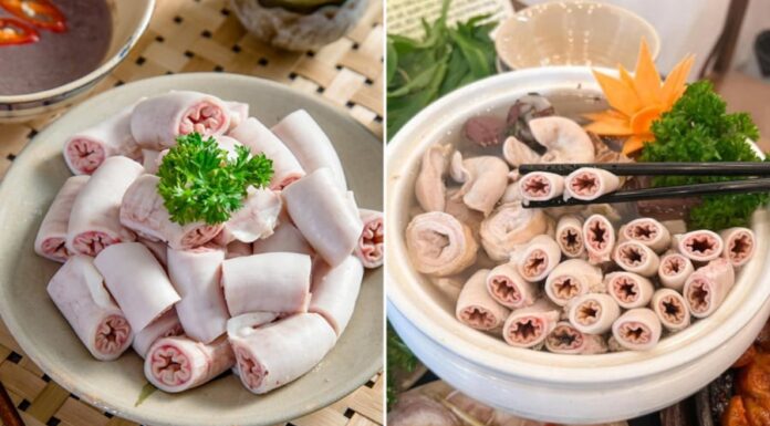 The Hearty Sea Eel: A Delicacy with a Hefty Price Tag that Continues to Entice Food Connoisseurs.