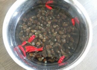 The Secret to Perfectly Cooked Snails: A Vendor’s Trick for a Tasty, Crispy, and Clean Treat