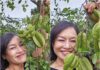“Mom” Phuong Oanh – The Flavor of Familial Love: Real-Life Owner of a Lush Green Garden, Proudly Displaying Her Humble Vegetables