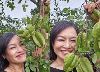 “Mom” Phuong Oanh – The Flavor of Familial Love: Real-Life Owner of a Lush Green Garden, Proudly Displaying Her Humble Vegetables