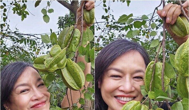 “Mom” Phuong Oanh – The Flavor of Familial Love: Real-Life Owner of a Lush Green Garden, Proudly Displaying Her Humble Vegetables