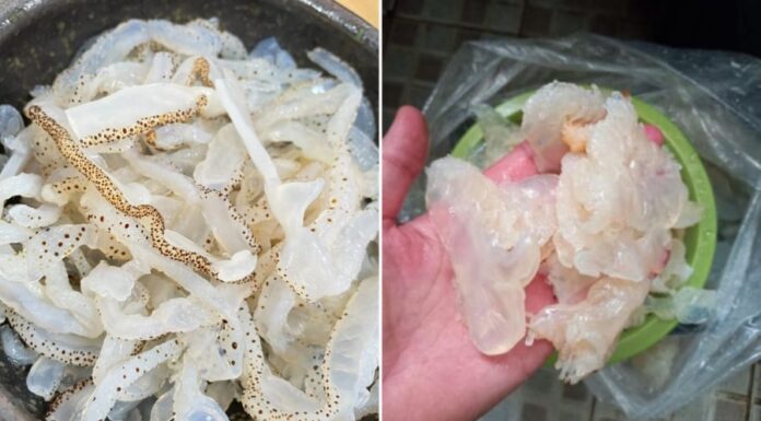 The Ultimate Guide to Making Crispy Jellyfish Salad: No More Fishy Smell, Guaranteed!