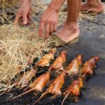 The Tasty Terror of the West: Delicacies that Scare the Squeamish and Delight the Daring, Including a Certain Celebrity.