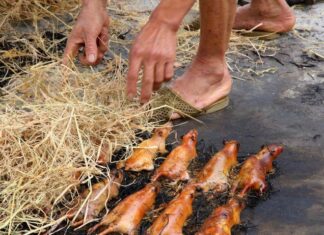 The Tasty Terror of the West: Delicacies that Scare the Squeamish and Delight the Daring, Including a Certain Celebrity.