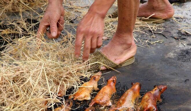 The Tasty Terror of the West: Delicacies that Scare the Squeamish and Delight the Daring, Including a Certain Celebrity.