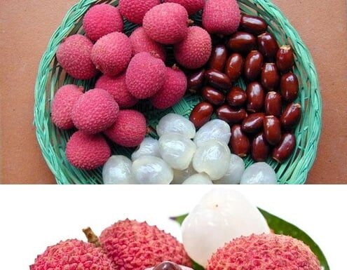 The Magic of the Lychee Fruit: Unlocking Ancient Healing Secrets