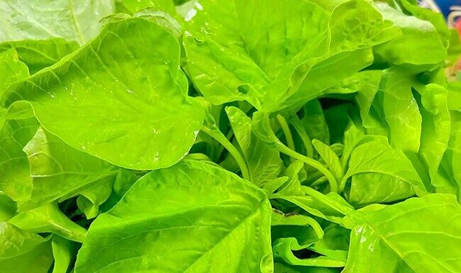 Eat More of This Veggie This Summer to Cool Down, Boost Immunity and Absorb Calcium