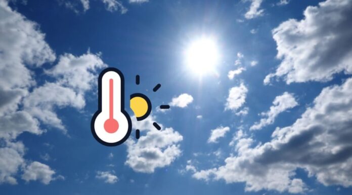 “Summer “Triggers” 4 Factors that Increase the Risk of 3 Cancers: Learn How to Avoid Them Now”