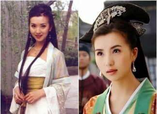 The Alluring Celebrity Who Left the Spotlight: A Story of Marriage, Motherhood, and an Unexpected Career Path