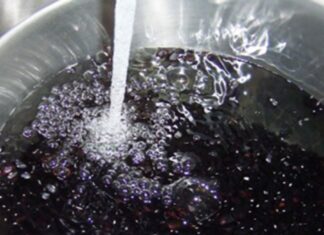 “Unlock the Secret to the Perfect Black Bean Dessert: Soak and Roast for a Surprising Boost.”