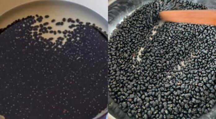 Why Soaking and Roasting Black Beans Before Cooking is a Must: Ignoring This Step May Harm Your Health.