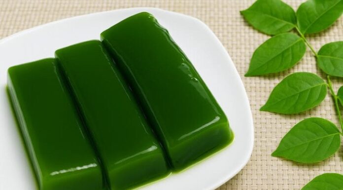 The Weird and Wonderful World of Vietnamese Lifestyles: Wild Plants Turn a Profit and Become a Summer Delicacy.