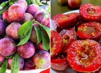 Who Should Avoid Eating Plums?