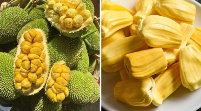 Who Should Avoid Eating Jackfruit, Even If It’s Ripe and Sweet?