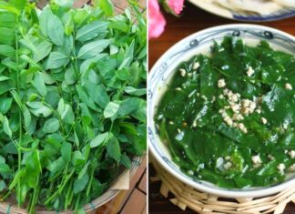 Delicious and Nutritious: The Wonder Herb That’s Affordable, But Not For Everyone