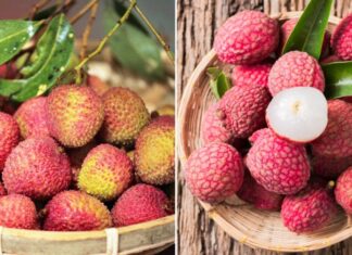 Delicious Dragon Fruit: But These 5 Groups Should Avoid It