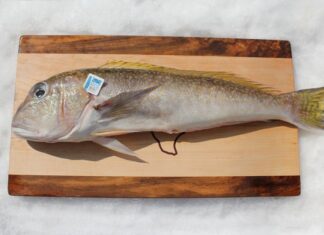 6 Types of Nutritious Fish That May Contain High Levels of Mercury: Especially the First Type, a Favorite for Many