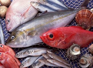 3 Types of Fish That Are High in Mercury: A Warning for Grocery Shoppers