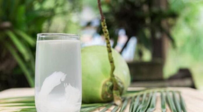 5 Winter Drinks to Hydrate and Moisturize Your Skin