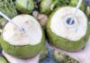 The Coconut Conundrum: 6 People Who Should Steer Clear of This Tropical Treat