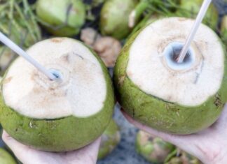 The Coconut Conundrum: 6 People Who Should Steer Clear of This Tropical Treat