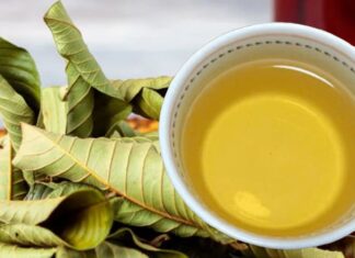“Unlocking Six Sensational Health Benefits: The Magic of Guava Leaf Tea”