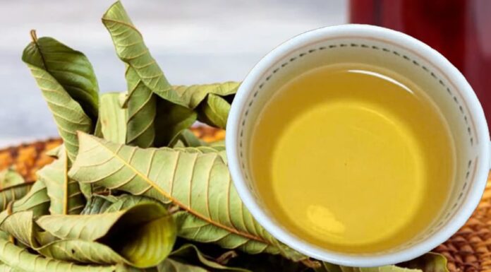 “Unlocking Six Sensational Health Benefits: The Magic of Guava Leaf Tea”
