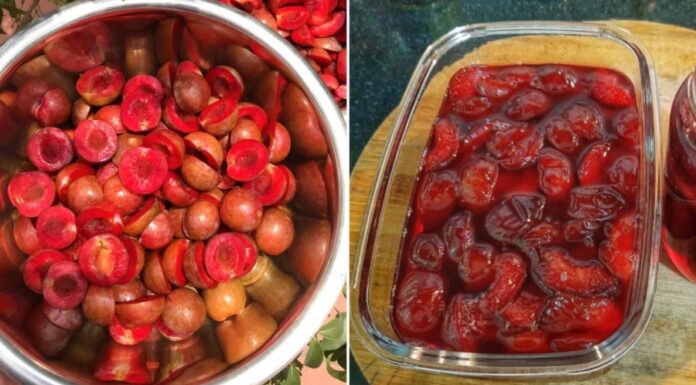 The Ultimate Summer Refresher: Discover the Art of Crafting Plum Tea