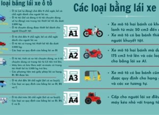 The New Rules of the Road: What You Need to Know to Avoid Traffic Police Fines