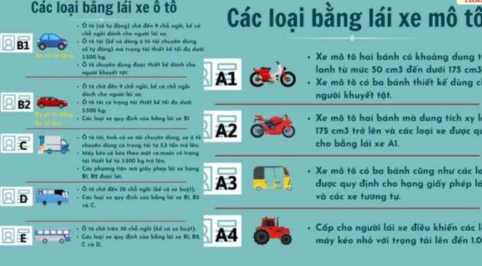 The New Rules of the Road: What You Need to Know to Avoid Traffic Police Fines