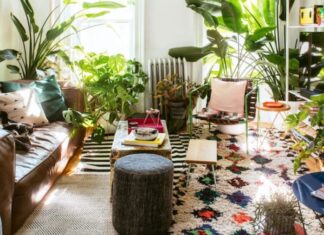 The Living Room: 4 Items That May Bring Bad Luck to Your Home and Business