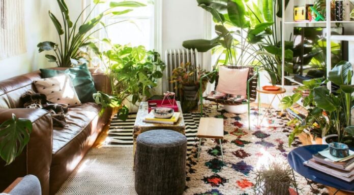 The Living Room: 4 Items That May Bring Bad Luck to Your Home and Business