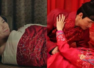 The Forbidden Chamber: A Silent Night for the Emperor’s Concubines