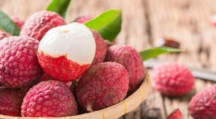 5 Ingenious Ways to Keep Your Thai Strawberries Fresh and Flavorful for Longer