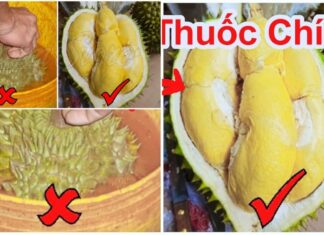 The 4 Fruits Most Likely to be “Chemically Enhanced” at the Market – A Cautionary Tale