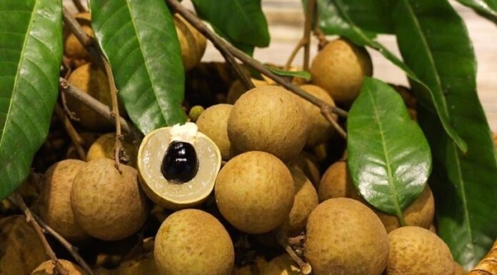 6 People Who Should Avoid Eating Longan Fruit