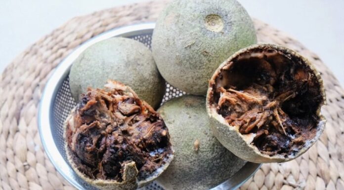 The Ultimate Delicacy: A Culinary Adventure with a Twist