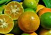 The Amazing Health Benefits of the Citrus Fruit: Six Reasons to Add Quất to Your Diet