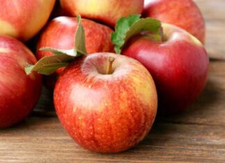 9 Superfoods for Kidney Health: Eat Your Way to Wellness