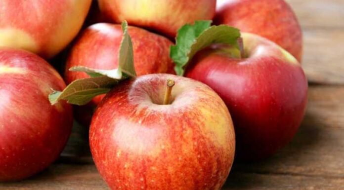 9 Superfoods for Kidney Health: Eat Your Way to Wellness