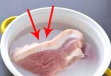 The Ultimate Guide to Thawing Pork: Two Quick and Effective Methods to Keep Your Meat Fresh