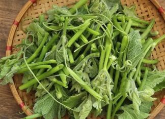 Supercharge Your Liver with Bottle Gourd: Nature’s Iron-Rich Superfood