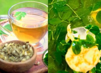 This Veggie Has More Calcium Than Milk and More Vitamin C Than Oranges, and It’s Super Affordable in Summer!