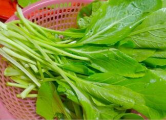 “4 Types of Vegetables Often Contaminated with Pesticides: Tips for Safe Shopping to Protect Your Family’s Health”