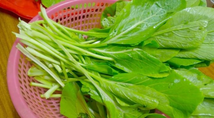 “4 Types of Vegetables Often Contaminated with Pesticides: Tips for Safe Shopping to Protect Your Family’s Health”