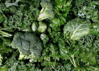 5 Heart-Healthy Foods to Include in Your Diet