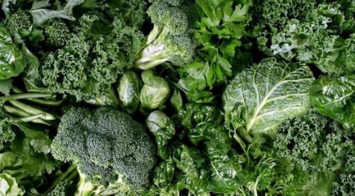 5 Heart-Healthy Foods to Include in Your Diet