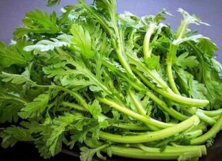 The Unassuming Weed: A Foraged Delicacy with Aristocratic Appeal and Health Benefits